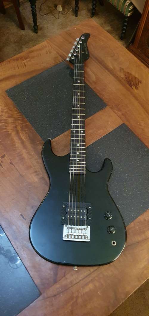 Stunning Musician  Electric Guitar