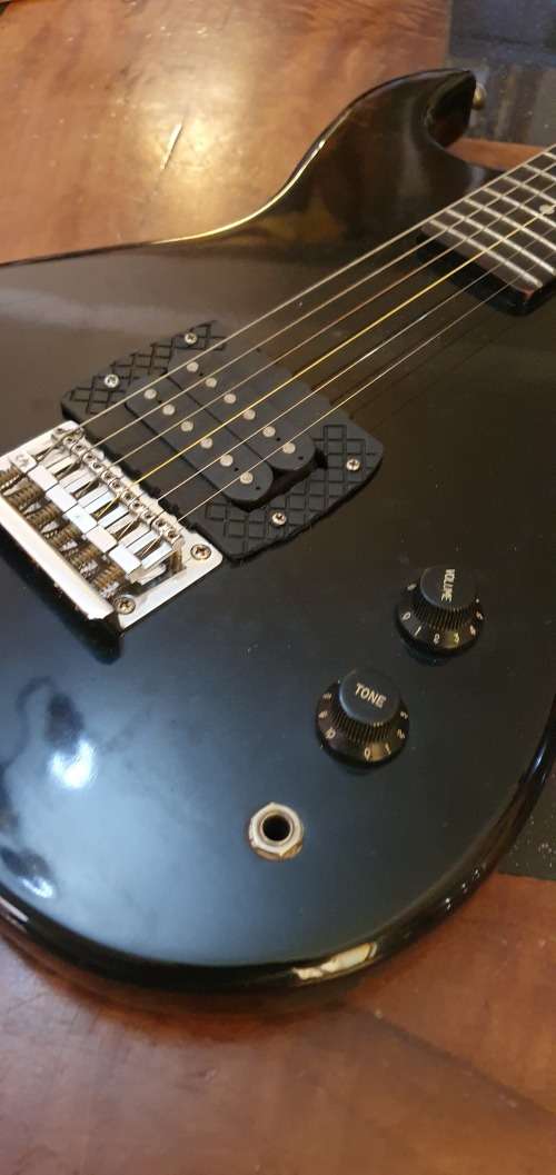 Stunning Musician  Electric Guitar