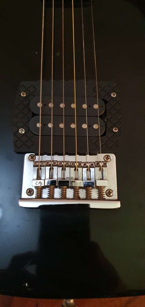 Stunning Musician  Electric Guitar