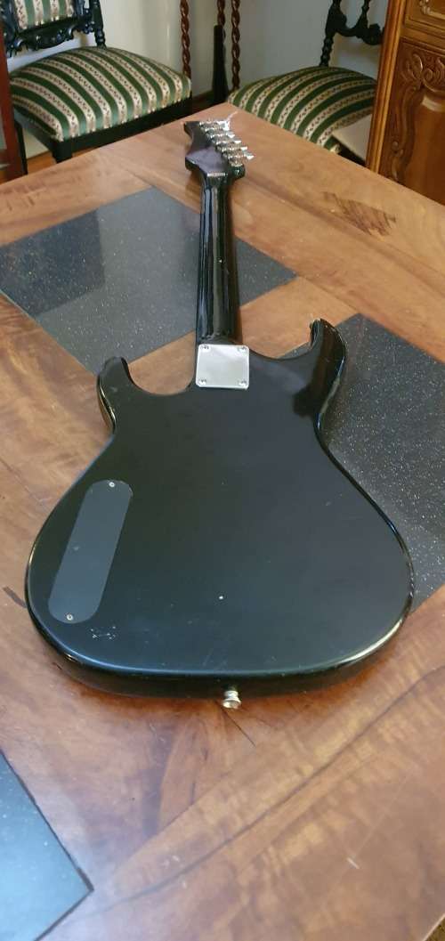 Stunning Musician  Electric Guitar