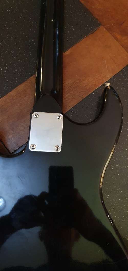 Stunning Musician  Electric Guitar