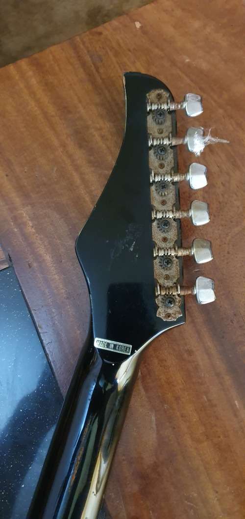 Stunning Musician  Electric Guitar