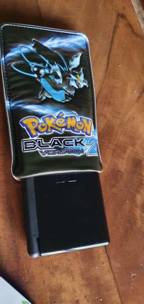 Nintendo DS Game Console