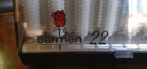 Carmen 22 Hot Hair Curlers