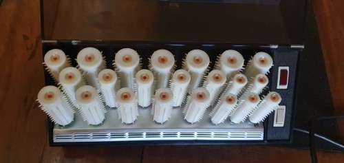 Carmen 22 Hot Hair Curlers