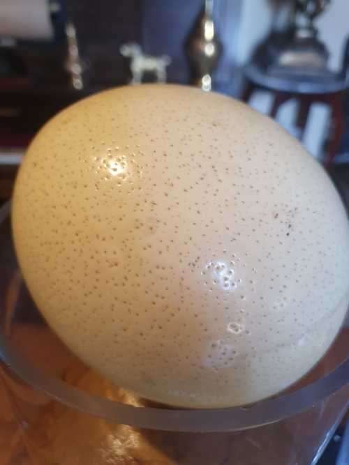 Two Beautiful Glass Vases Plus 3 Ostrich Eggs