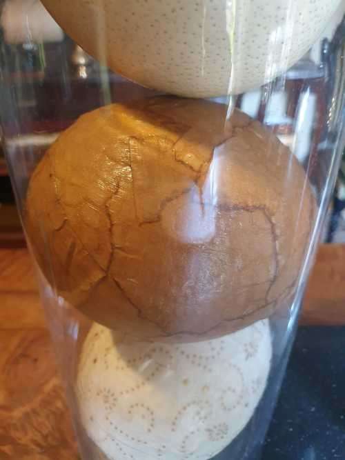 Two Beautiful Glass Vases Plus 3 Ostrich Eggs