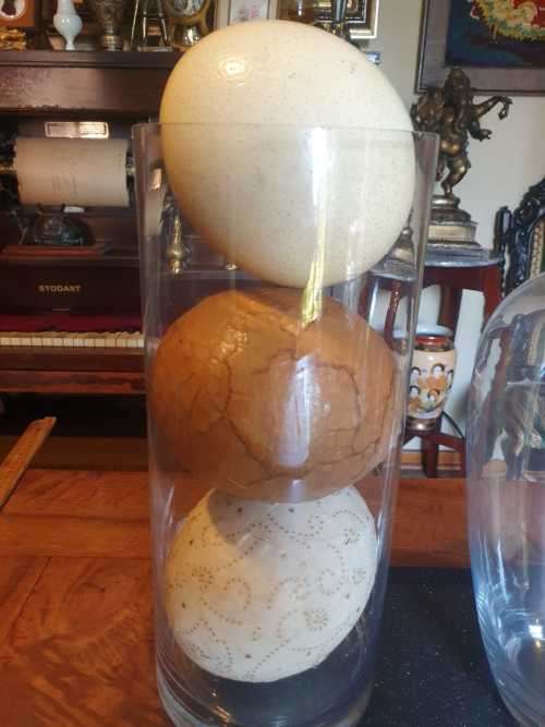 Two Beautiful Glass Vases Plus 3 Ostrich Eggs