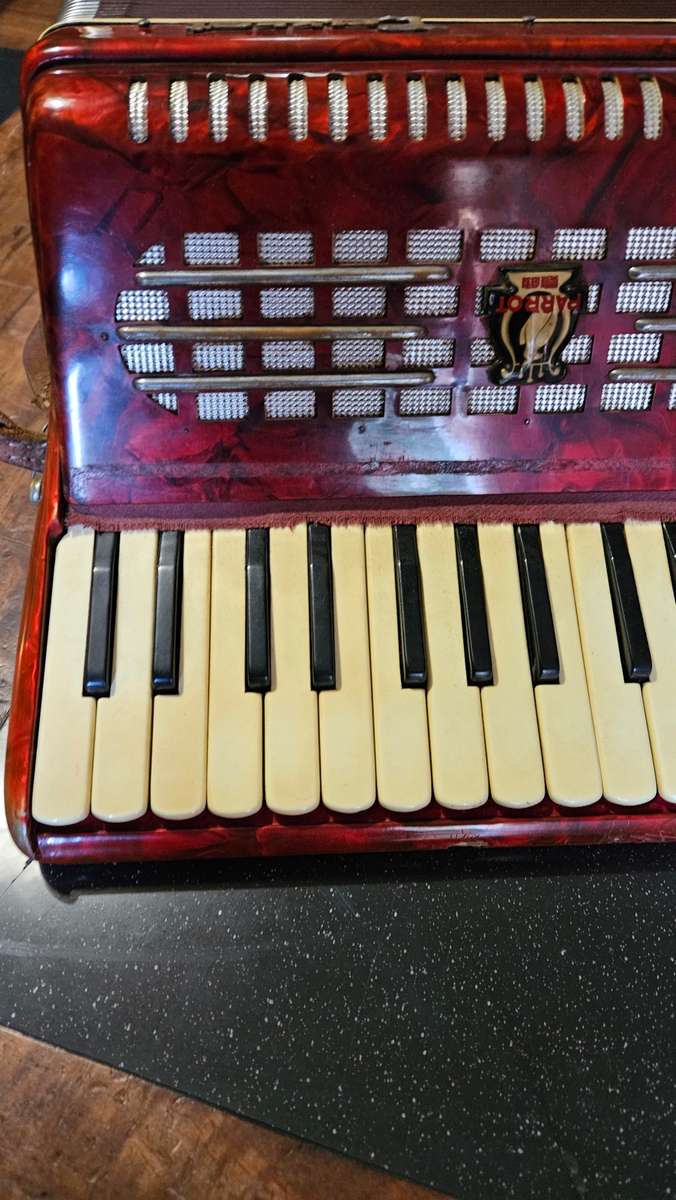 Parrot Piano Accordian