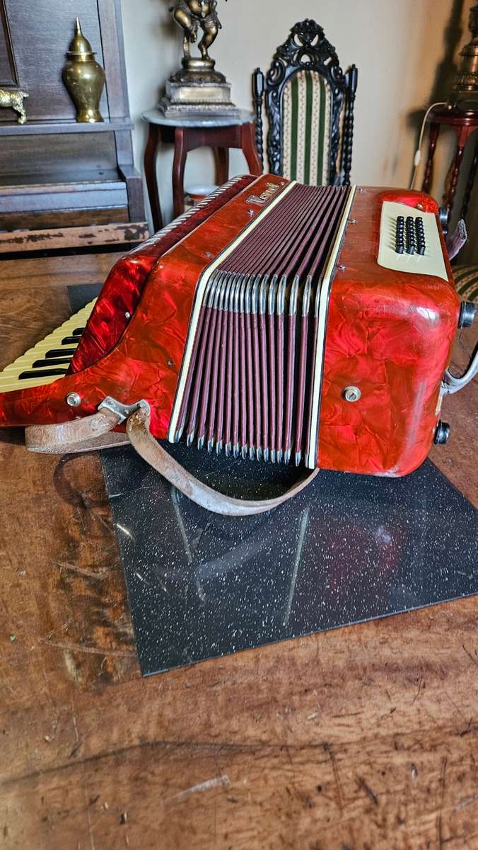 Parrot Piano Accordian