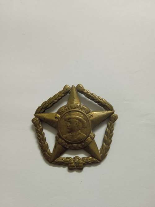 SA Army Forward/Voorwaarts badge