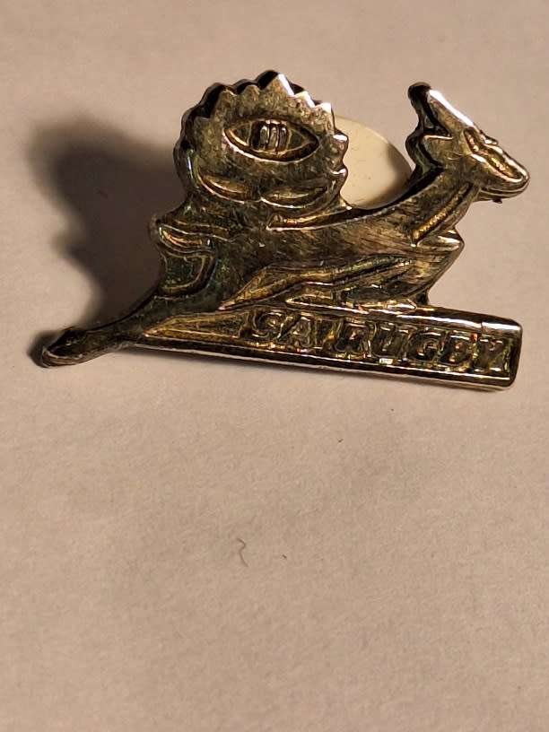 Vintage SA Rugby pin