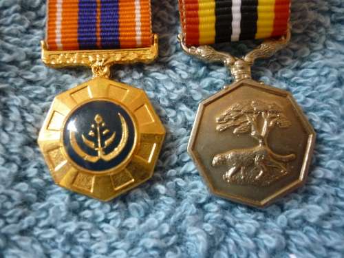 MINIATURE -   PROPATRIA & SOUTHERN AFRICA MEDAL