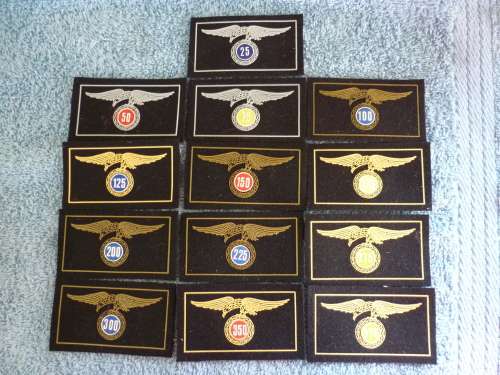 SPANISH PARA JUMP AWARD BADGES X 13 (RUBBERISED ON FELT)