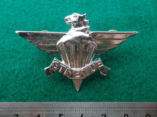3 PARA CAP BADGE - POSTS INTACT