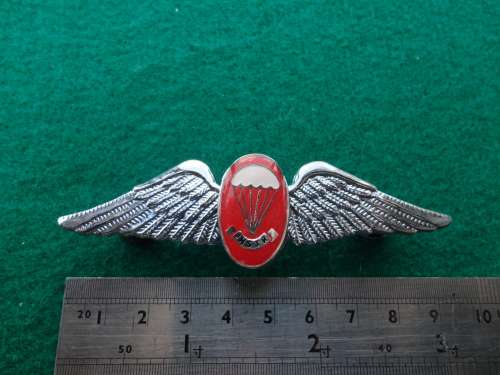 FREEFALL INSTRUCTOR WIN - FULL SIZE - DINNES 321