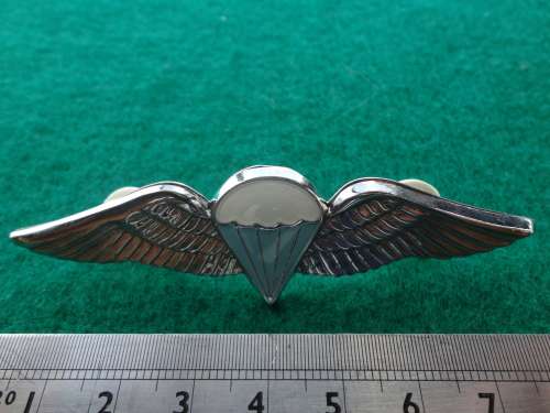 FULL SIZE 50 JUMPS OR MORE - DINNES 313