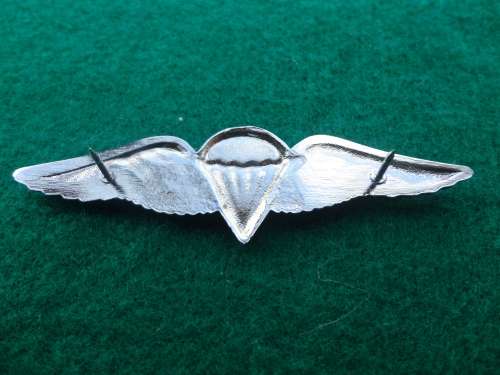 FULL SIZE 50 JUMPS OR MORE - DINNES 313