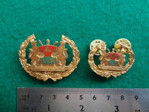 TRANSKEI W/O BADGES X 2 - ALL PINS INTACT