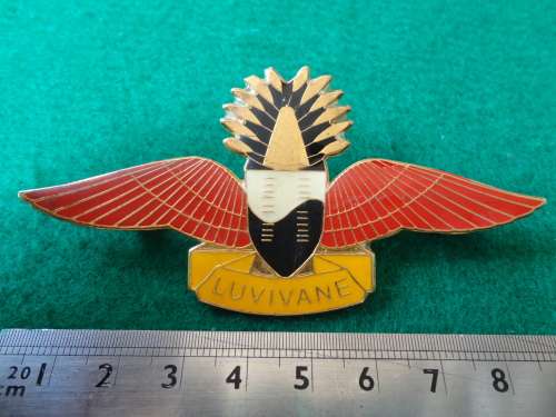 SWAZILAND ENAMEL PARA WING - BOTH PINS INTACT
