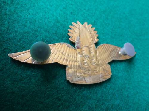 SWAZILAND ENAMEL PARA WING - BOTH PINS INTACT