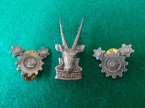 SWATF LARGE H/Q CAP BADGE AND 2 TSC COLLARS - ALL POSTS AND PINS INTACT