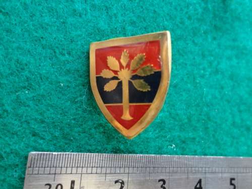 SWA ENGINEER SUPPORT UNIT (GROOTFONTEIN) FOB BADGE - 2 PINS