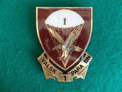 1 PARA 'PARABAT' PLAQUE-NOT FITTED TO BASE YET-TO ALLOW DISPLAY ON A BOARD - ALL PINS INTACT