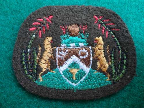 TRANSKEI DEFENCE FORCE WO1 - CLOTH