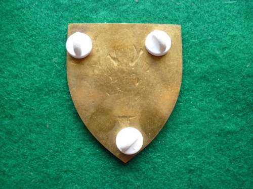 INTELLIGENCE FLASH - ALL PINS INTACT