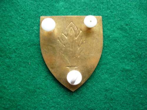 INTELLIGENCE FLASH - ALL PINS INTACT