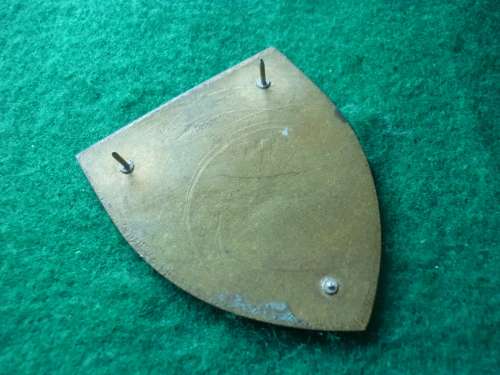 1 PARA FLASH - TYPE 2 - DINNES 4350 ( 2 PINS)