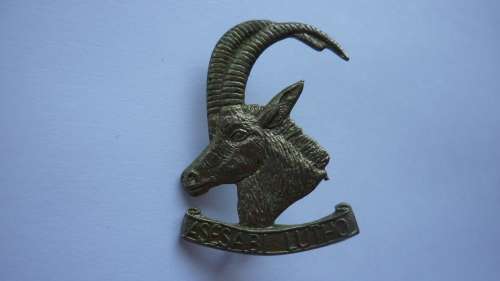 RHODESIA RHODESIAN ARMOURED CAR REGIMENT WHITE METAL BERET BADGE 1973 TO 1980