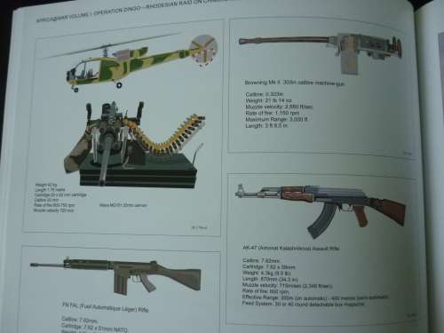 OPERATION DINGO = THE RHODESIAN RAID ON CHIMOIO AND TEMBUE / AFRICA@WAR VOLUME 1