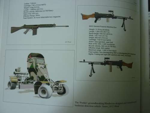 OPERATION DINGO = THE RHODESIAN RAID ON CHIMOIO AND TEMBUE / AFRICA@WAR VOLUME 1