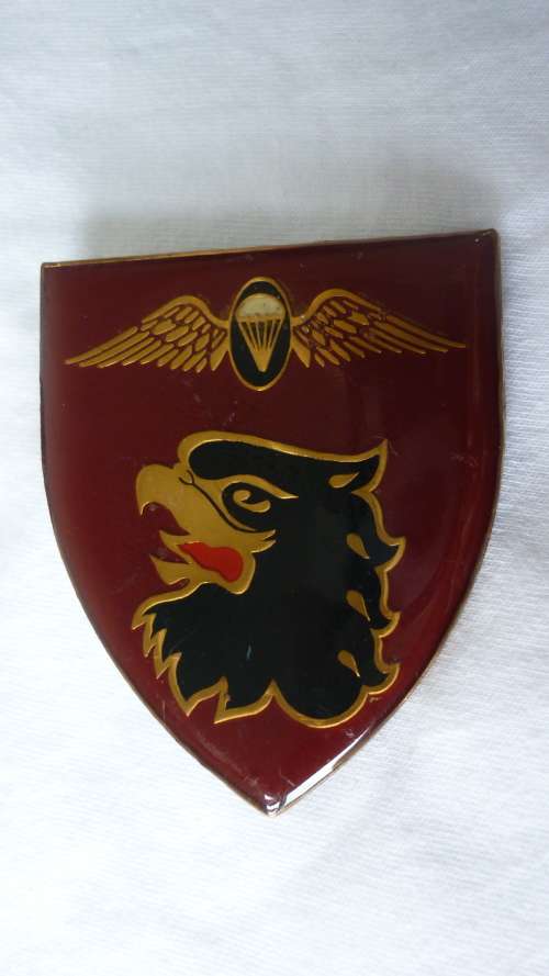 44 PARA PROPOSED INSTRUCTOR FLASH - I PIN ONLY