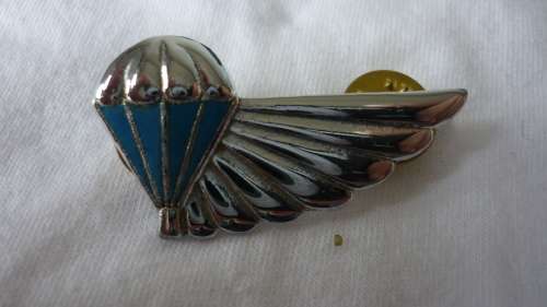 AIR DISPATCH HALF WING - BOTH PINS INTACT