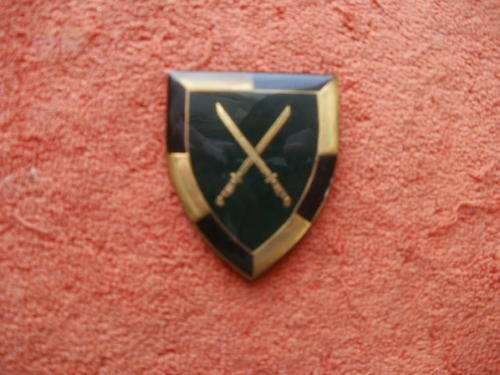 SA INFANTRY SCHOOL FLASH - PINS INTACT