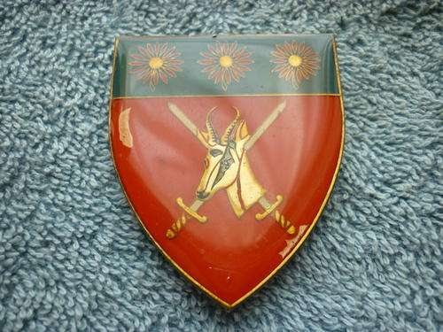 NORTHERN TRANSVAAL COMMAND FLASH - PINS INTACT