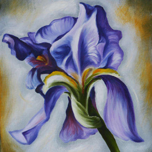 THE PURPLE IRIS ON WHITE NO.1!!!! Starting at R1!!!