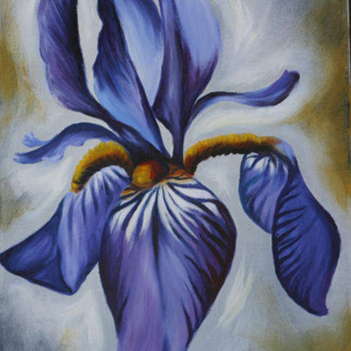 THE PURPLE IRIS ON WHITE NO.2!!!! Starting at R1!!!