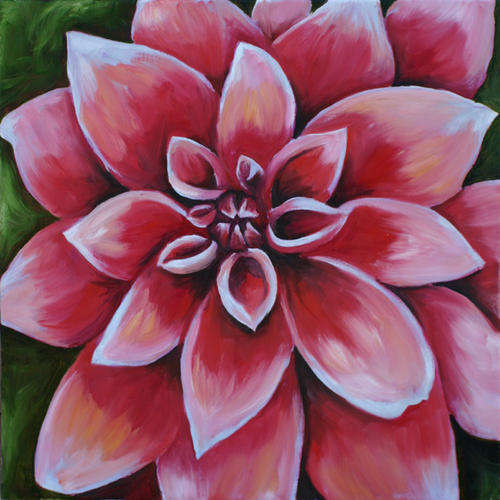 PEACH DAHLIA CLOSE UP! STARTING AT R1 ONLY!