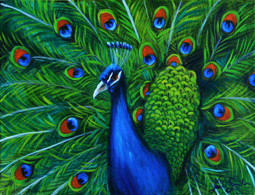 COLOURFUL GREEN PEACOCK! STARTING AT R1 ONLY!