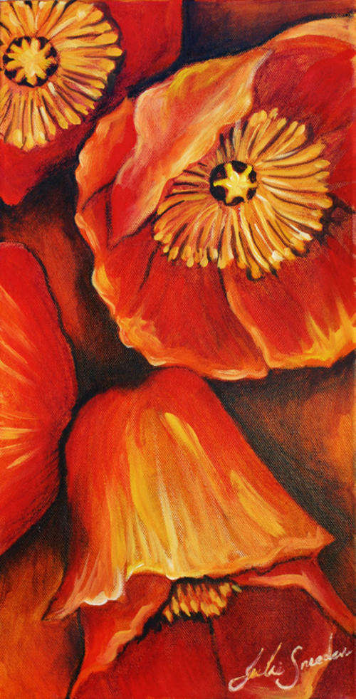 RED AND ORANGE POPPIES! STARTING AT R1 ONLY!