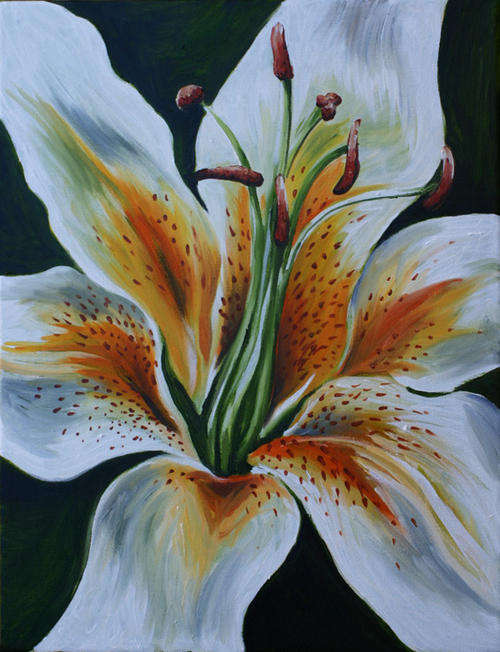 White Tiger Lily! Starting at R1 only!!!