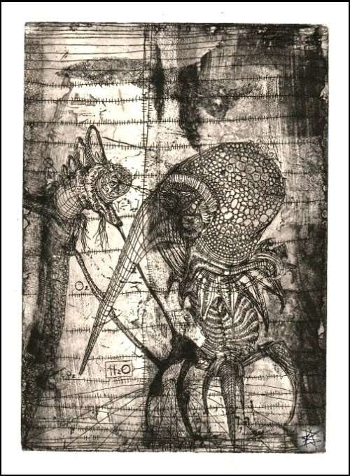 Hunting High and Fly by SA Surrealist Ras Steyn - Copperplate Line Etching - Edition: 2/3 (Signed)