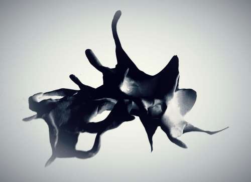 Original Surrealism: `Amorphic Manta Ray` by Surrealist Pioneer Ras Steyn (MFA) SINGLE EDITION*1/1