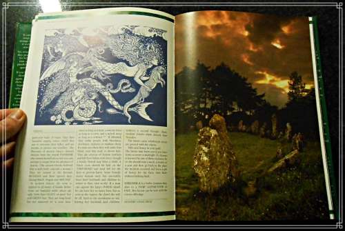 FAIRIES: The Encyclopaedia of Fairies - ANNA FRANKLIN - FIRST EDITION - VEGA - 2002 VG+