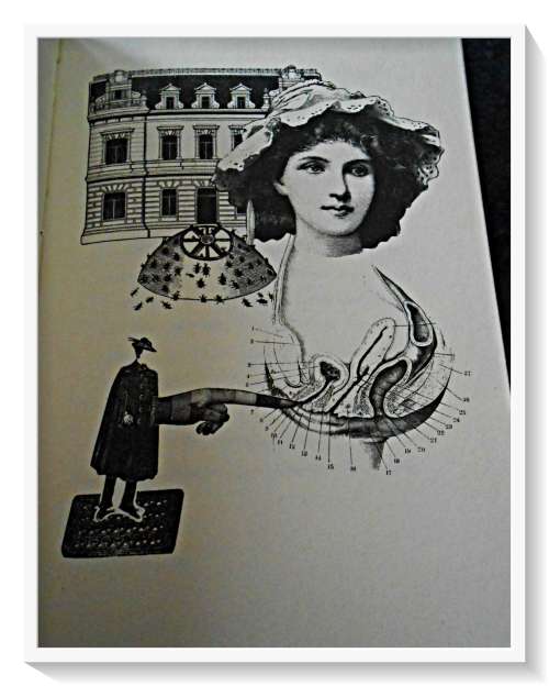 NEZVAL & STYRSKY: Edition 69 - SURREALISM EROTICA PROSE - Twisted Spoon Press - Very Rare Item*