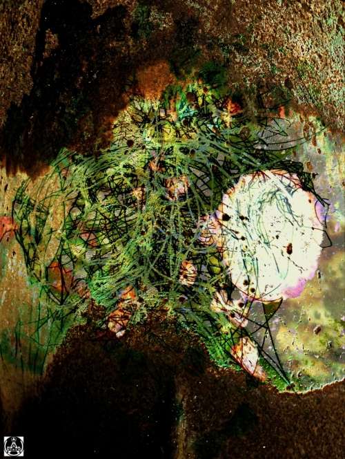 Single Ed. Abstract Mounted Canvas Print: THE PAPRIKA SIDE-EFFECT by SA Surrealist Ras Steyn [Mfa]